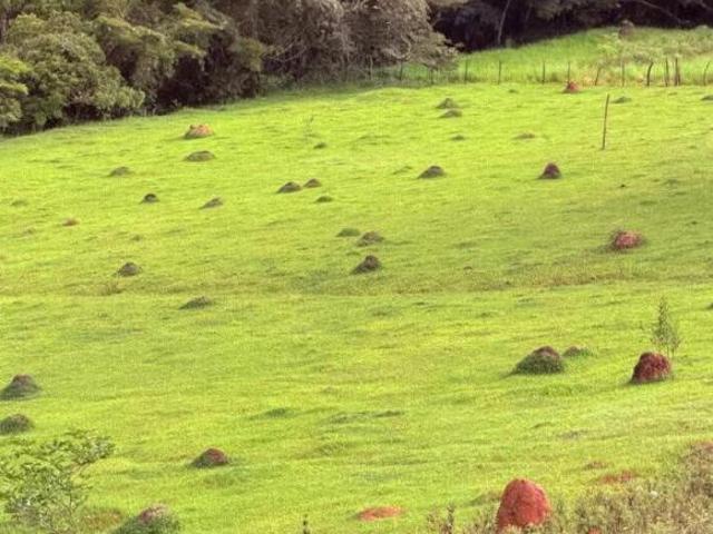 Terreno Área para venda Zona Rural Luminárias