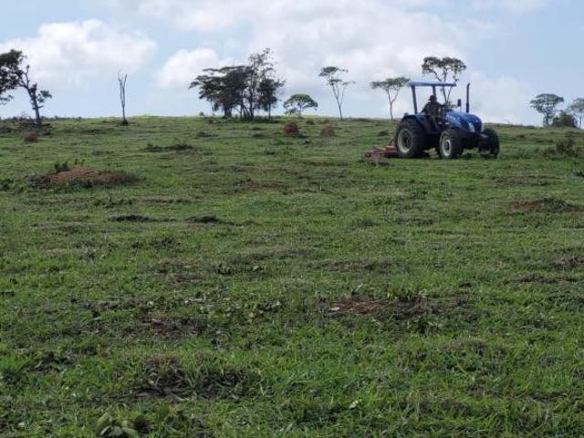 Terreno Área para venda Zona Rural Piedade dos Gerais
