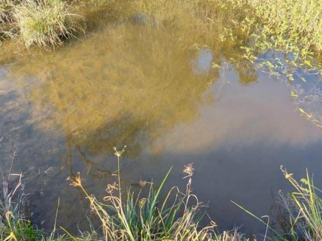 Terreno Área para venda Zona Rural Rio Manso