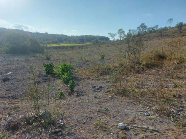 Terreno Área para venda Zona Rural Rio Manso