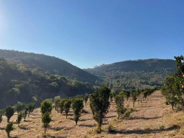 Terreno Área para venda Área Rural Belo Vale