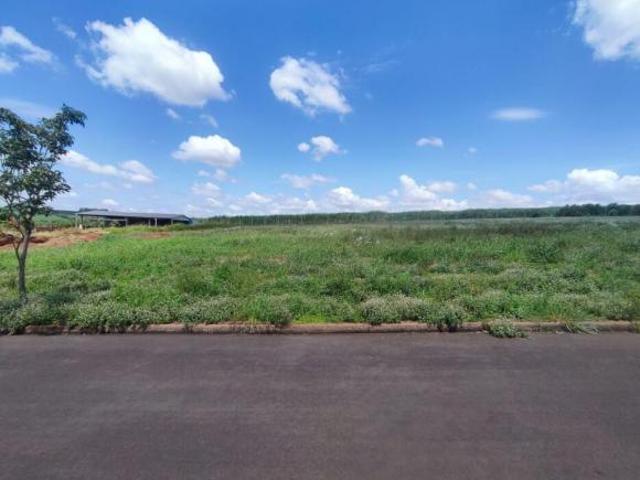 Terreno Área para venda Munhoz de melo Santa Fé