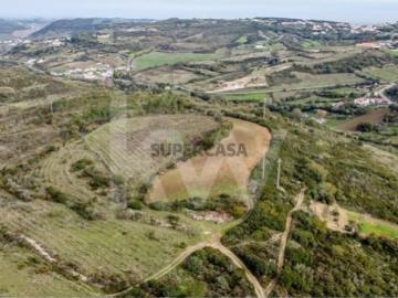 Terreno Arranhó, Arruda dos Vinhos