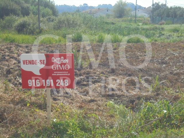 Terreno Arredores Oliveira do Bairro