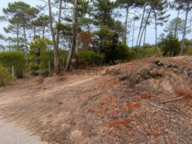 TERRENO ARVENSE COM 1.720M2 EM COLARES SINTRA