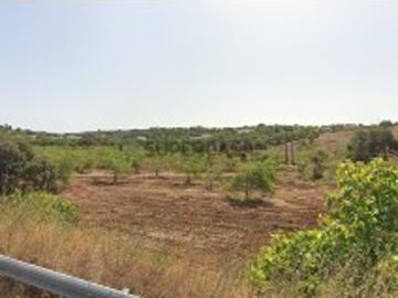 Terreno às portas da Cidade de Loulé
