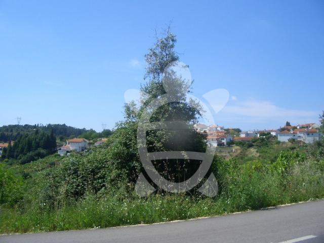 Terreno Assafarge
