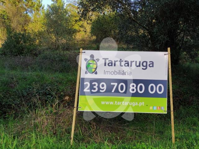 Terreno Assafarge