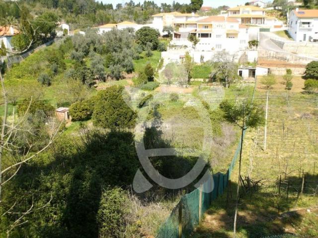Terreno Assafarge