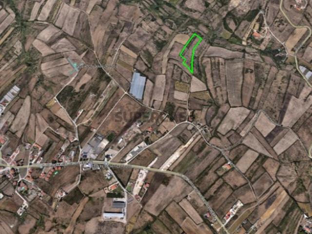 Terreno Assafora