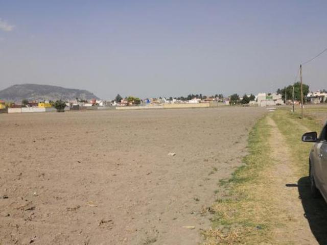 Terreno Buenavista