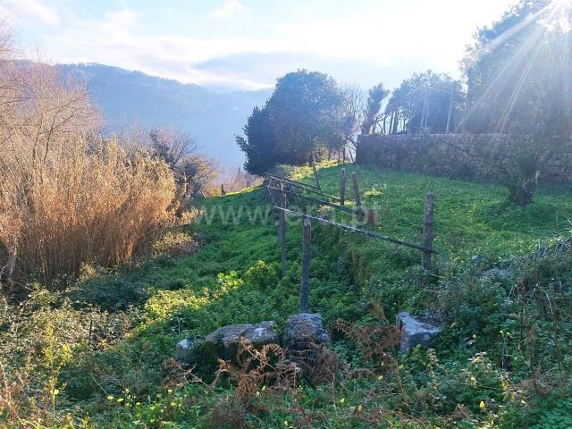 Terreno / Baião, Ancede e Ribadouro