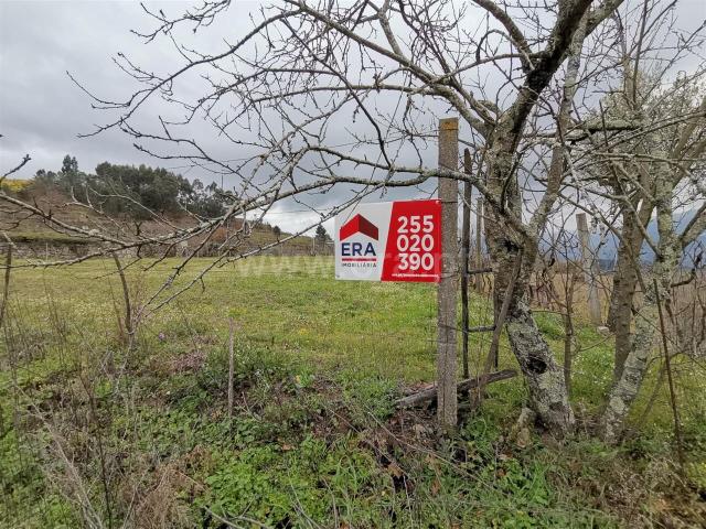 Terreno / Baião, Baião Santa Leocádia e Mesquinhata