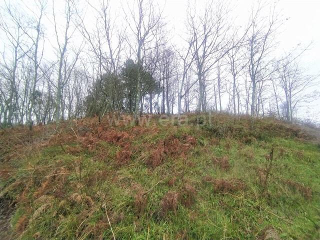 Terreno / Baião, Campelo e Ovil