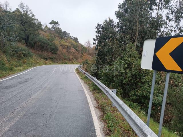 Terreno / Baião, Campelo e Ovil