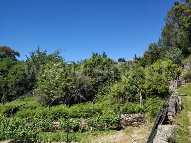 Terreno / Baião, Santa Cruz do Douro e São Tomé de Covelas