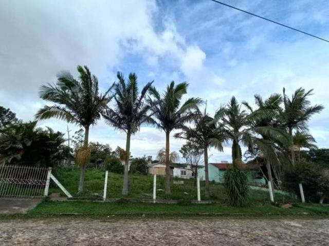 Terreno Bairro Vila São João