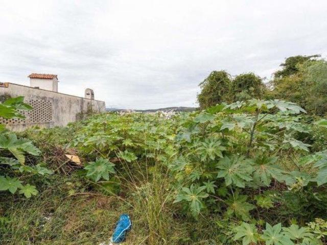 Terreno Bairro Assunção com 580m²