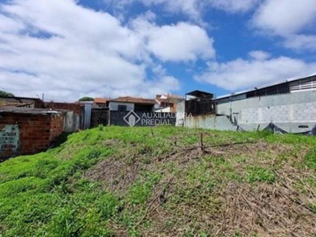 TERRENO BAIRRO ASSUNÇÃO EXCELENTE PARA CONSTRUTORA