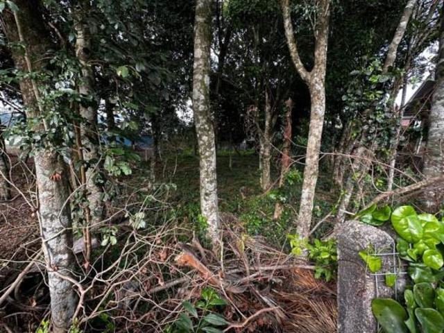Terreno Bairro Belvedere