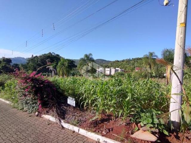 Terreno bairro Boa Vista Lindolfo Collor
