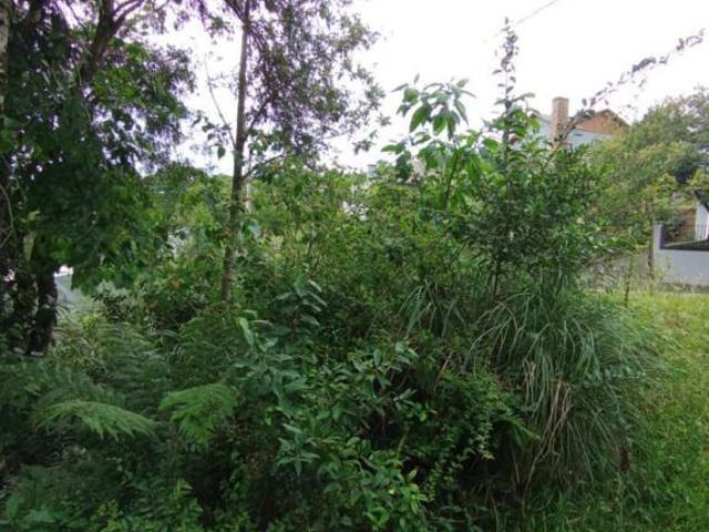 Terreno Bairro Carniel