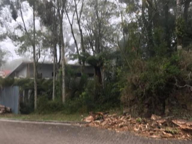 Terreno Bairro Carniel