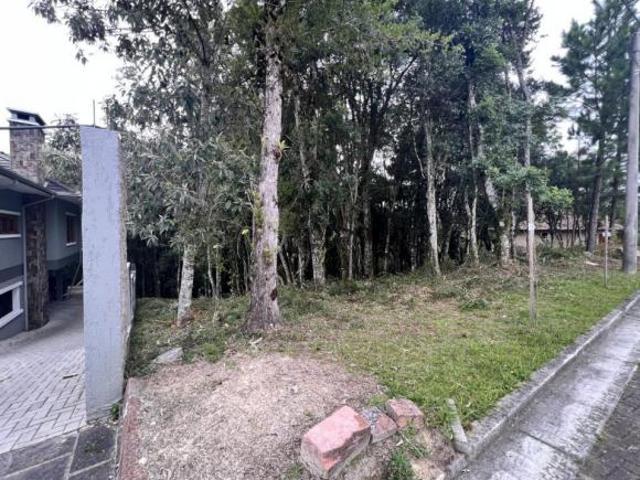 Terreno Bairro Carniel