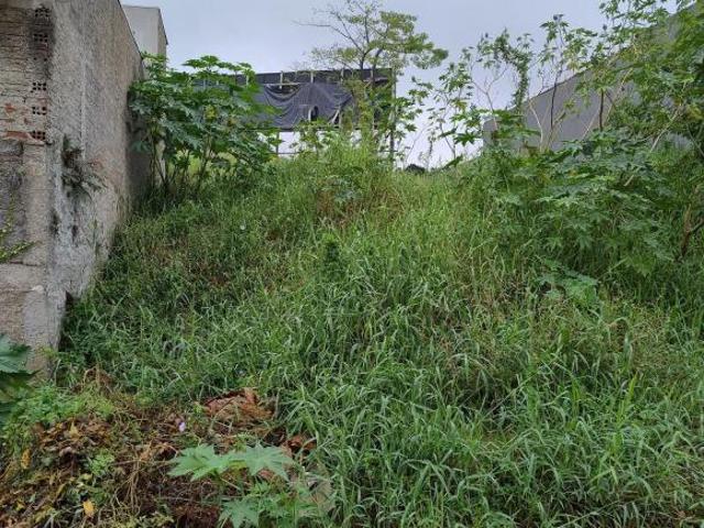 Terreno, Bairro Centro, Igrejinha, RS