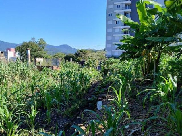 Terreno, Bairro Centro, Igrejinha, RS