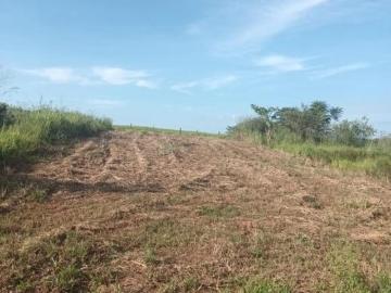 Terreno, Bairro Estrela Tabapuã, Tabapuã, SP