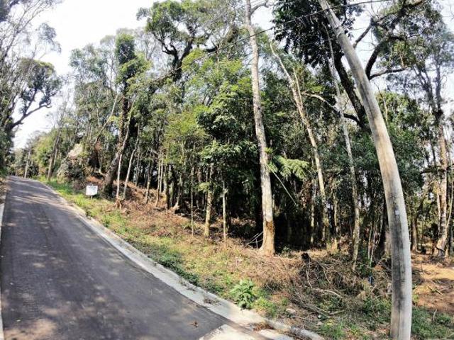 Terreno Bairro Floresta