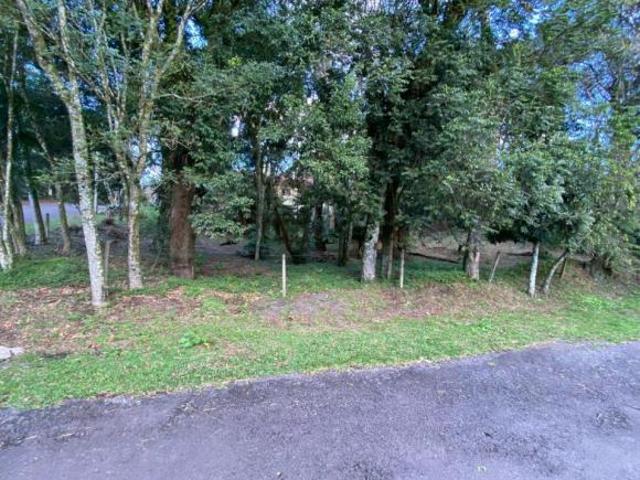 Terreno Bairro Ipê Amarelo