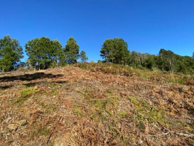 Terreno Bairro Mato Queimado