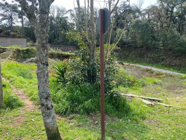Terreno Bairro Moura