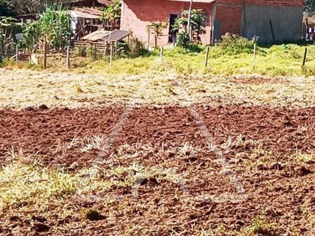 Terreno, Padua Salles, Conchal, SP