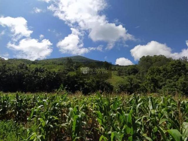 Terreno Bairro Pinheiro