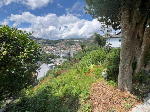 Terreno Bairro Piratini