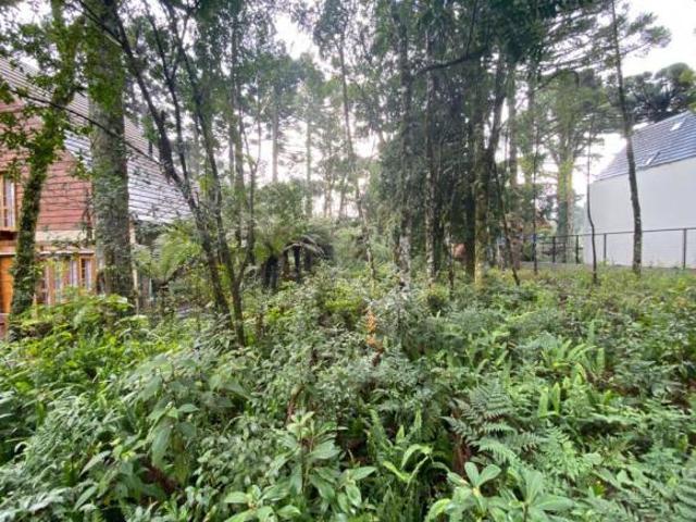 Terreno Bairro Planalto