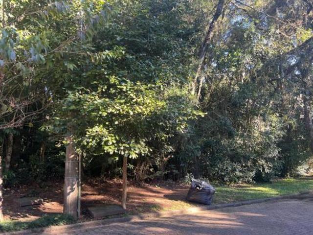 Terreno Bairro Reserva da Serra