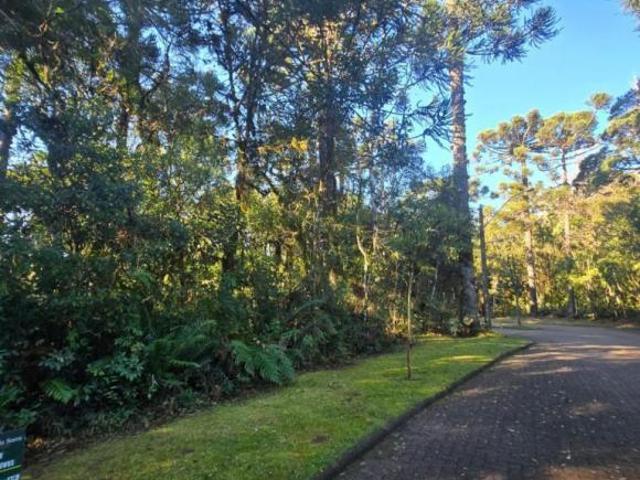 Terreno Bairro Reserva da Serra