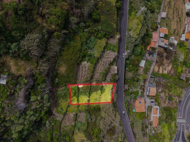 terreno barato na calheta