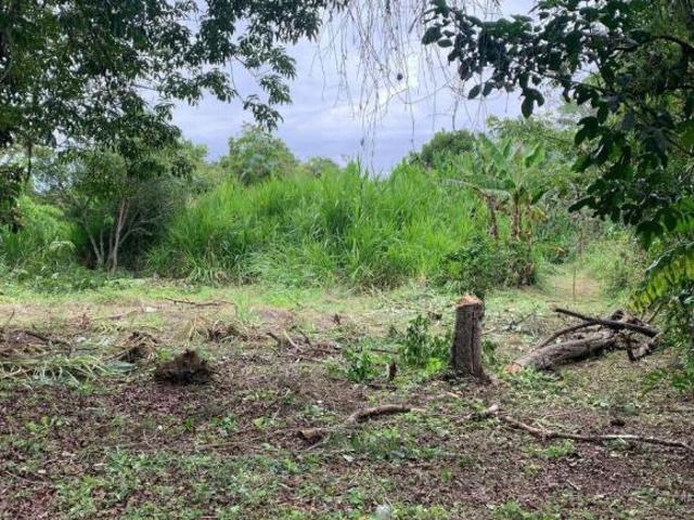 Terreno Bardeado en Coatepec