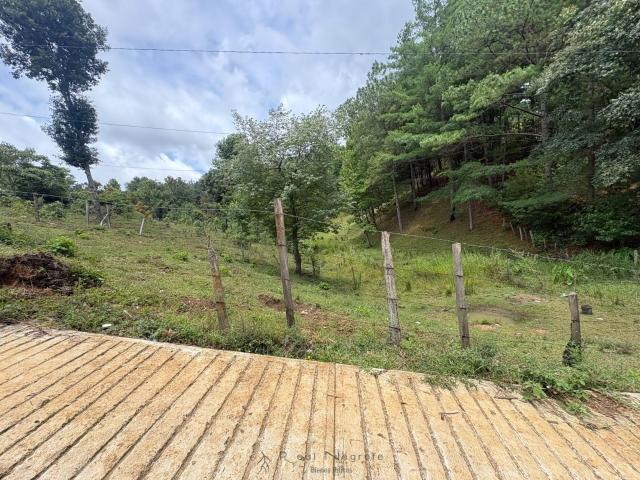 Terreno Barrio San Lorenzo, Pueblo Nuevo Solistahuac?n