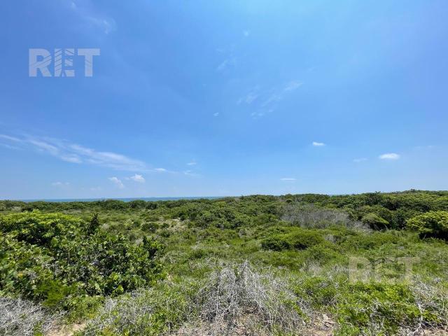 Terreno Beachfront y frente con Canal del Chijol