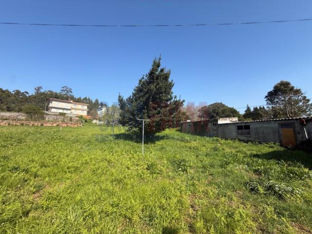 Terreno Beiriz 41m de Frente Ideal para Moradias