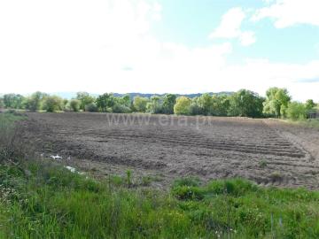 Terreno / Belmonte, Carvalhal Formoso