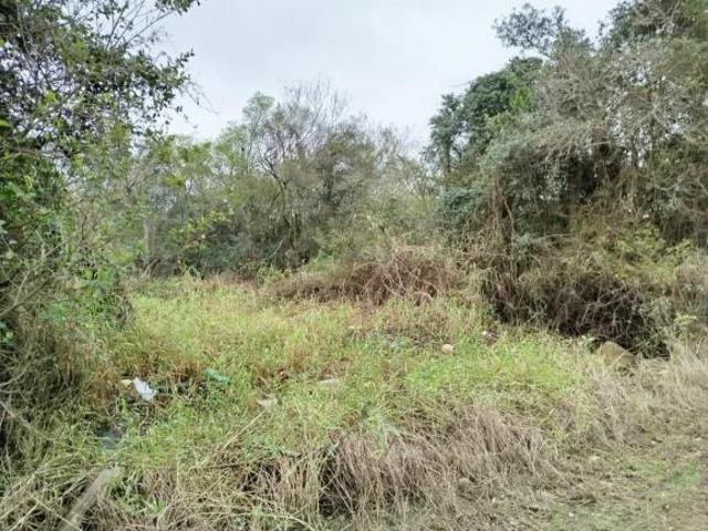 Terreno bem localizado na Serraria