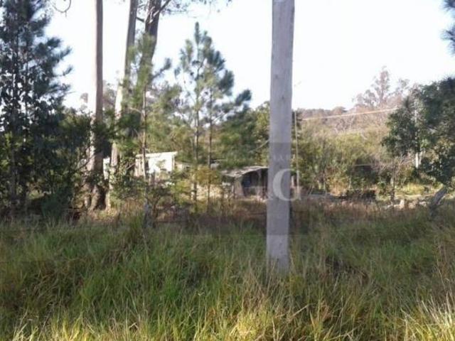 Terreno bem localizado no Parque Florestal
