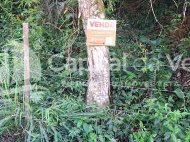 TERRENO BEM LOCALIZADO